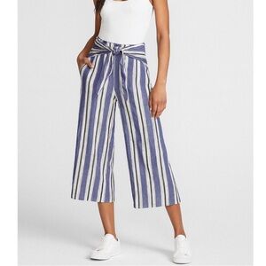 Express | Striped Blue Cropped Pants